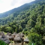 datingjungle rg7znn3k zk unsplash