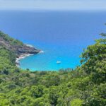 datingscout kiyhnncvlaw unsplash