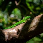 david bruyndonckx 3zu9umreo5e unsplash