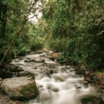 david restrepo irqygl85azs unsplash