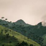 david restrepo omjtnsci5gk unsplash