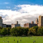 david vives n5oqqsnk9mq unsplash