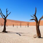 deadvlei 2011373 1280