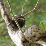 deb dowd tw8yuinvwnc unsplash