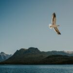 delfina iacub 4w1j0dgvlvi unsplash