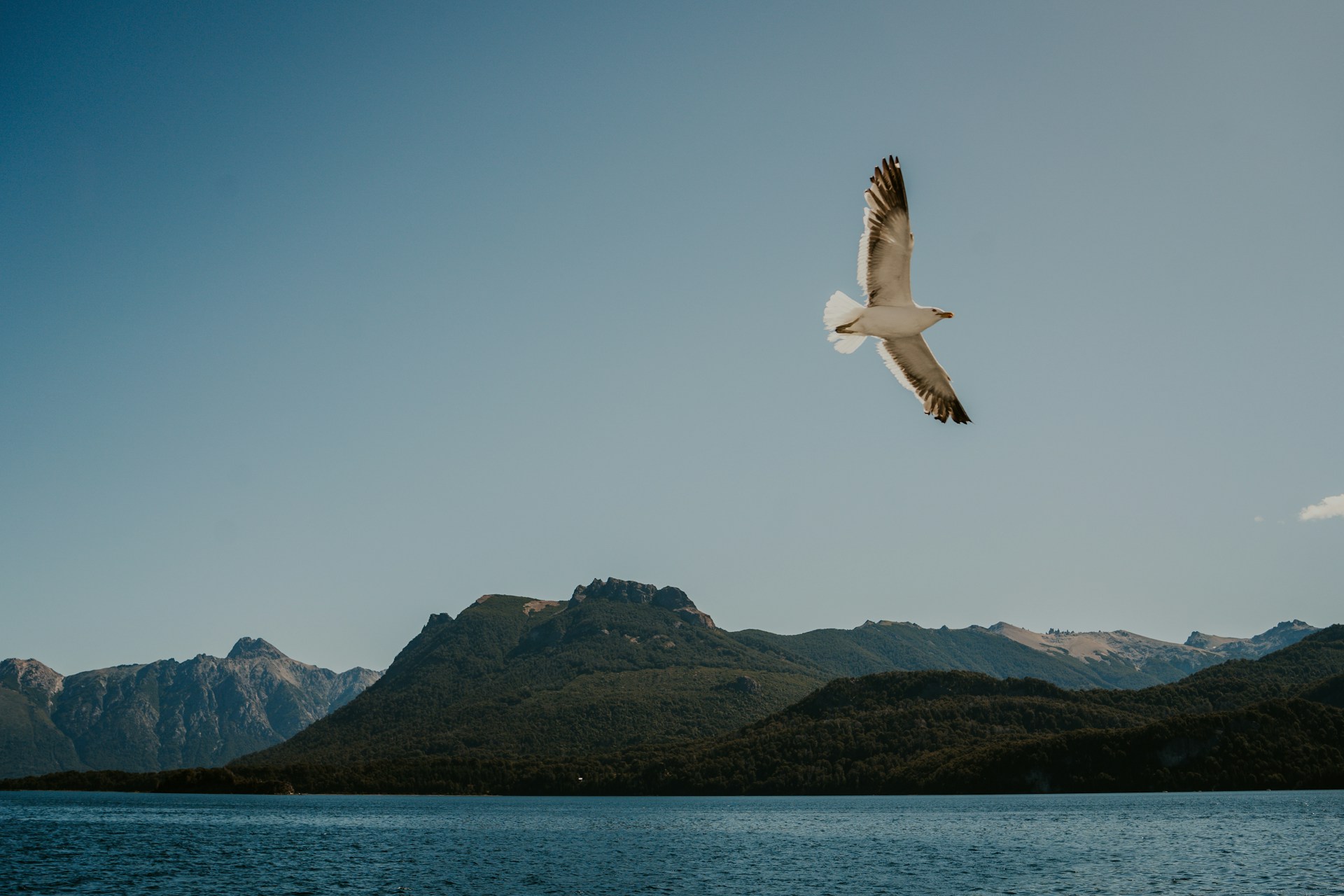 delfina iacub 4w1j0dgvlvi unsplash