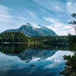 delfina iacub zsgjdhdp4ie unsplash