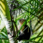 dennis-michel-KLWMun6dlhQ-unsplash