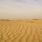 dessert 4829753 1280