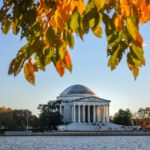 dez hester dezhester bxfbrtzqenw unsplash