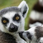 diana parkhouse rb8qv3roiqa unsplash