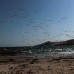 diego bogota aa6cuofdox0 unsplash