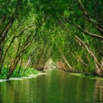 digital sennin qttahhghz w unsplash