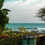 dimas ruiz z kjwejf88g unsplash