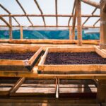 dimitry b vwg92utkdgc unsplash