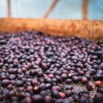 dimitry b i9hgm8cf 20 unsplash