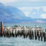 dominik van opdenbosch gdcpxezwyfc unsplash