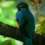 dulce wilson cpudzy0tslq unsplash