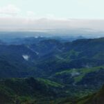 dulce wilson ldxgrhyfoke unsplash