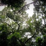 dulce wilson f9niqm 59z0 unsplash