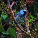 dulce wilson jxgpcimaozo unsplash