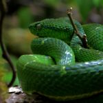 dulce wilson pkeebx1pfu4 unsplash