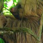 dulce wilson wy1qj7wcd30 unsplash