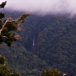 dulce wilson yh 5xuy y28 unsplash