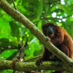 dylan shaw 7vhvwmridve unsplash