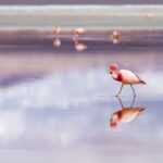 elizabeth-gottwald-IpbnuyBWQqY-unsplash