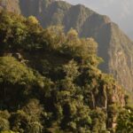 emmanuel hernandez ae6n3l w9py unsplash