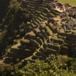 emmanuel hernandez wey8bynehmi unsplash