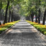 enrique amaya q0rrracyorq unsplash