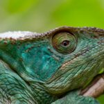 erik hathaway wkbtkij37k8 unsplash