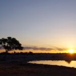 etosha national park 4636601 1280