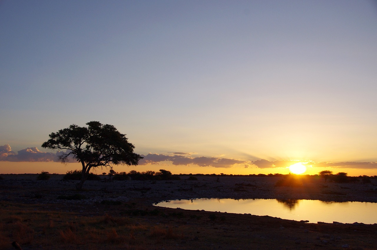 etosha national park 4636601 1280