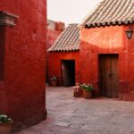 falco negenman f ednbfwd s unsplash