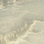 falco negenman zbew3xj1faa unsplash