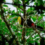 filiz elaerts v9bf6kv81aa unsplash