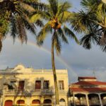 flor de lucia 4cjulcxoc3m unsplash