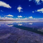 florian delee 8q98bvu xk unsplash