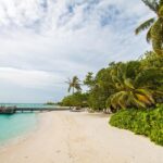 four seasons 2083680 1280