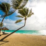 four seasons 2083682 1280