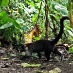 frank eiffert eftt2b886q4 unsplash