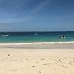 franklin canelon uimqdaguuoo unsplash