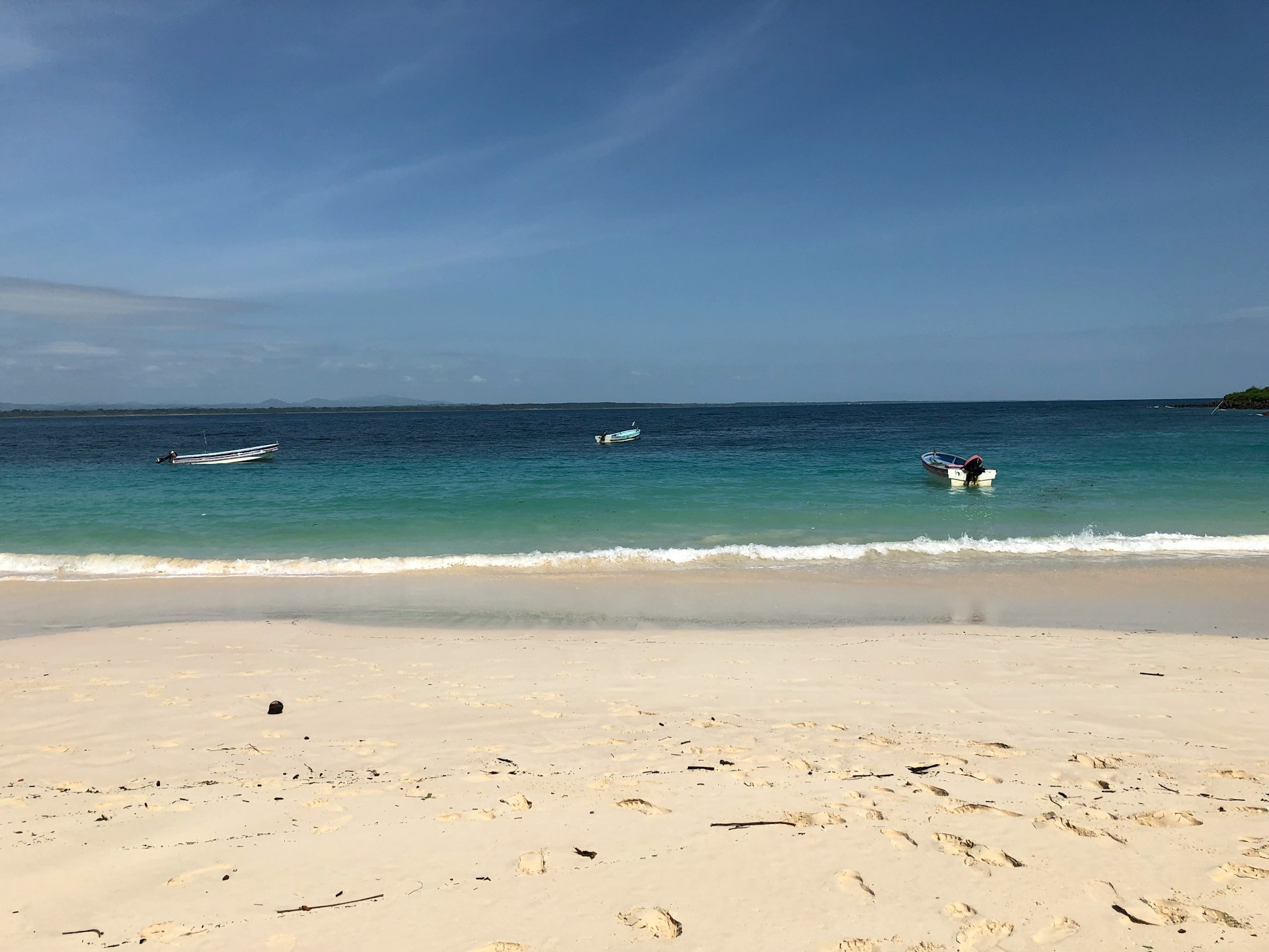 franklin canelon uimqdaguuoo unsplash