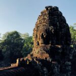 fred nassar wnlnsxlf74y unsplash