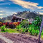 gary cole dgr89khnelg unsplash