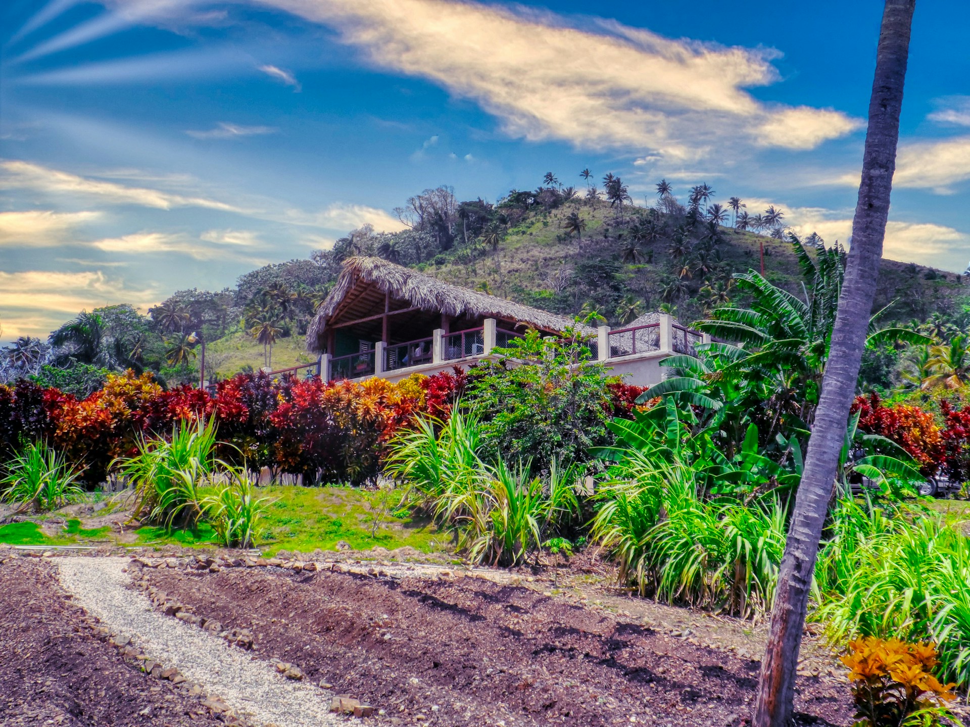 gary cole dgr89khnelg unsplash