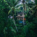 geio tischler vgbeznrr9ji unsplash